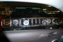 Hummer - Bedrohliche Begegnung