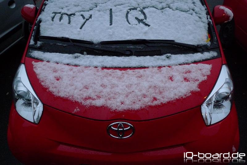 my IQ im Schnee