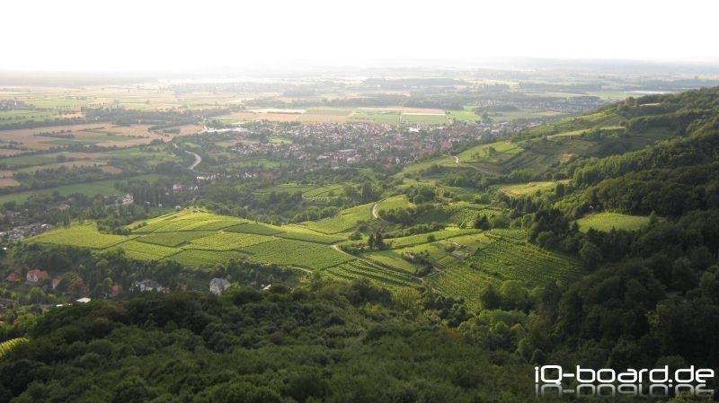 Nördlicher Blick in die Rheinebene (Richtung Wiesbaden)