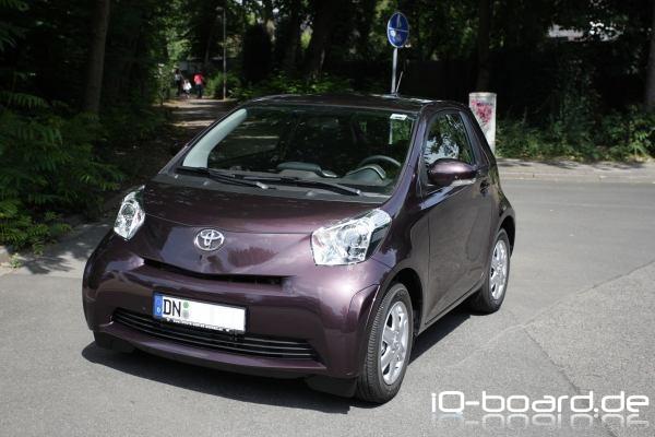 Meine Motte, mein kleiner Schatz