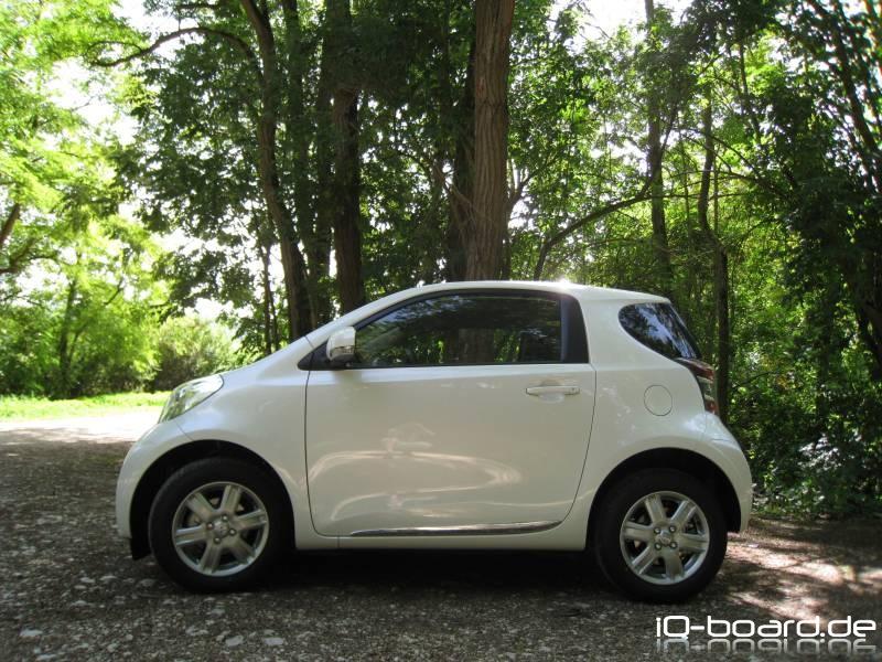 iQ im Wald am 16.08.09 2