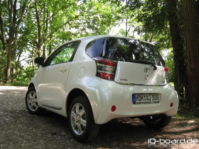 iQ im Wald am 16.08.09 3