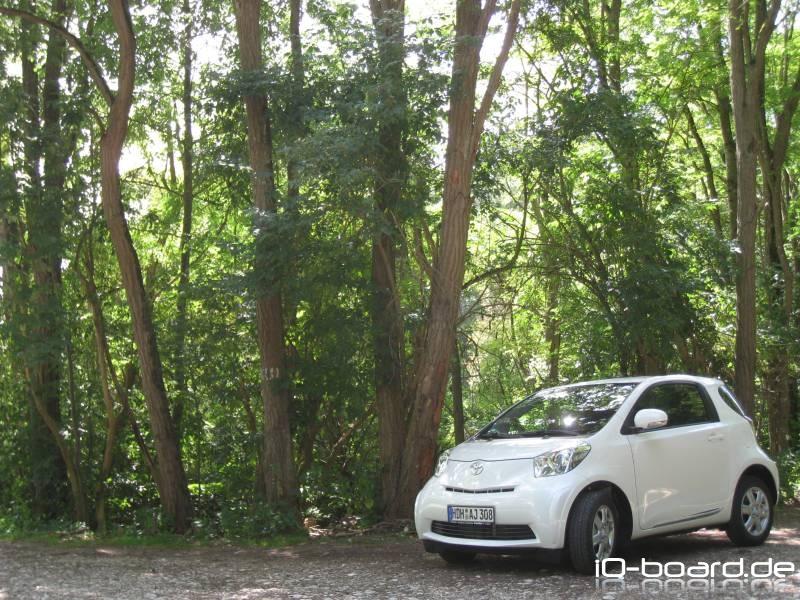 iQ im Wald am 16.08.09 4